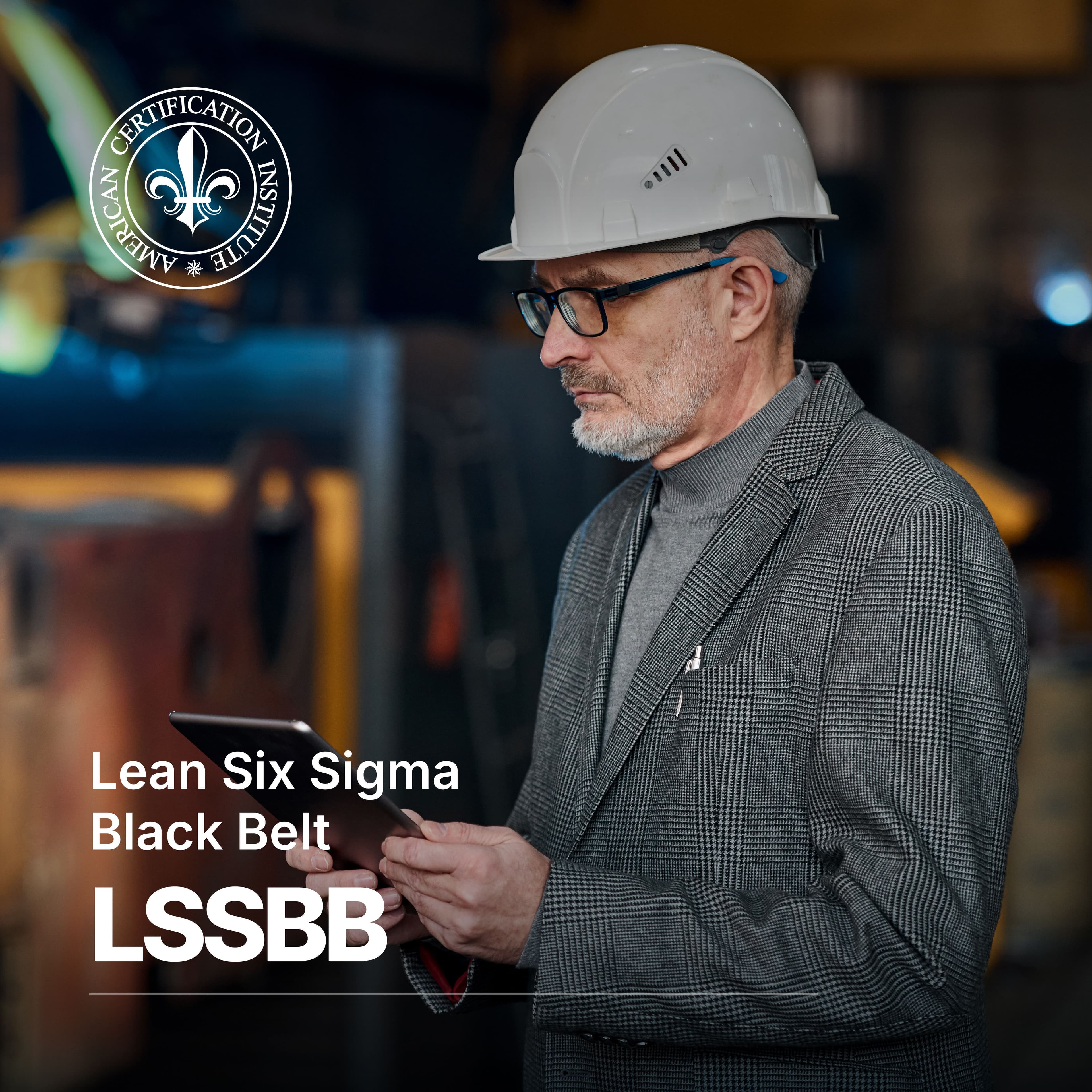 /uploads/ACI_Lean_Six_Sigma_Black_Belt_15_36eae7e8ee.jpg